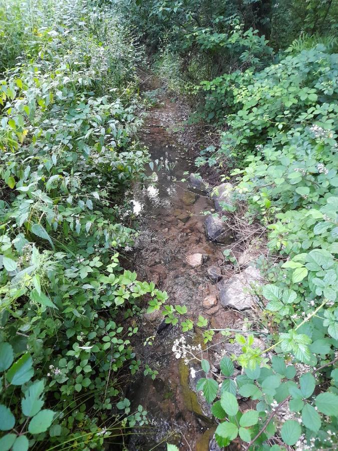 הוילה סלוניי Peace Creek מראה חיצוני תמונה