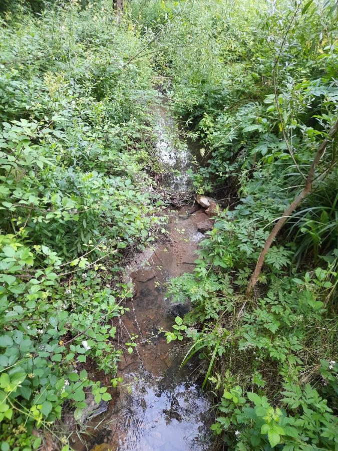 הוילה סלוניי Peace Creek מראה חיצוני תמונה